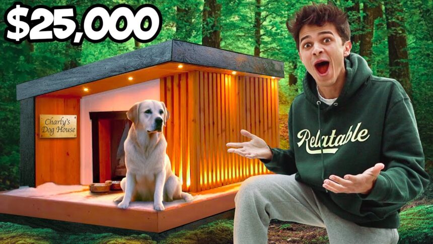 Watch: YouTuber splashes Sh3.5 million for his dog's luxury dream house ...
