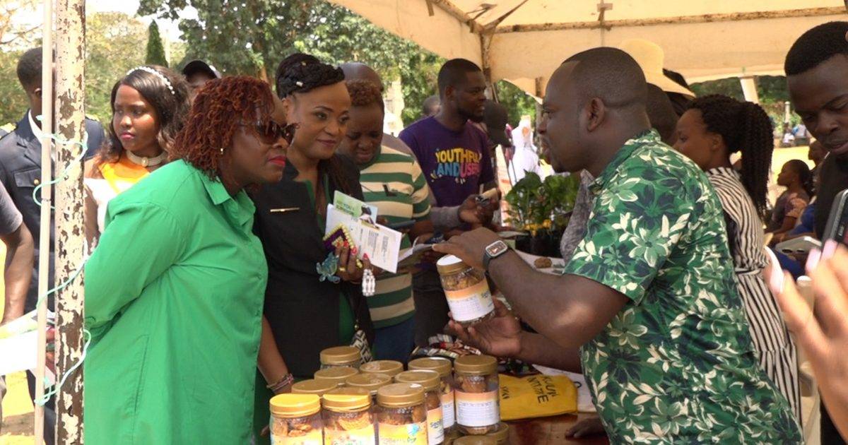 Form groups to benefit from tenders and loans, Kilifi youths told