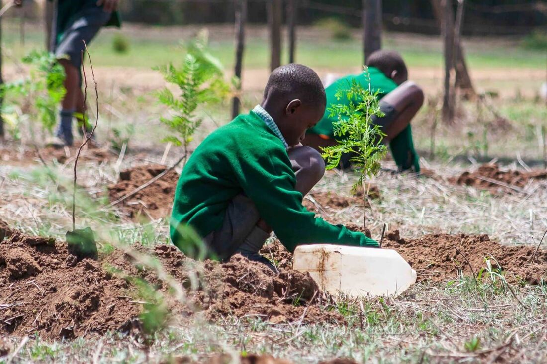 Kenya declares a 'treeplanting' public holiday sauce.co.ke