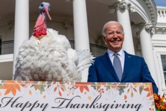 Presidential turkey pardon