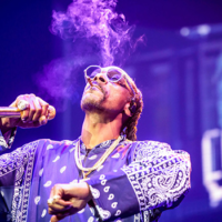 rapper snoop dogg quits smoking weed