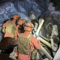 7.1 magnitude earthquake strikes western China