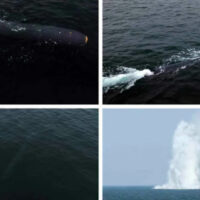 North Korean state media published these images of the "underwater nuclear system" when the drones were revealed last year
