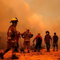 Chile forest wildfires