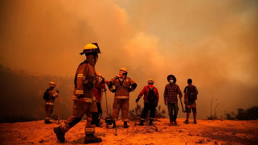 Chile forest wildfires