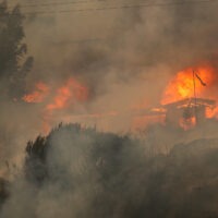Chile forest fire