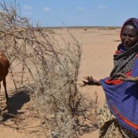 drought ethiopia