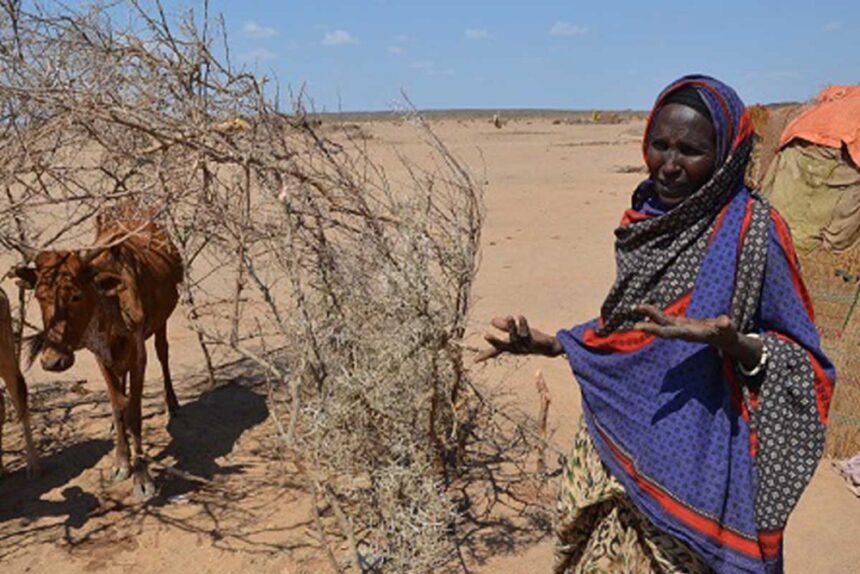 drought ethiopia