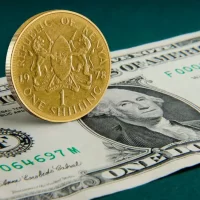 Relief for Importers as Shilling Strengthens Against Dollar