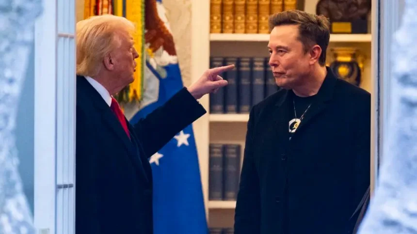 Donald trump Elon Musk
