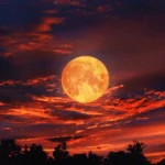 Kenya Blood Moon